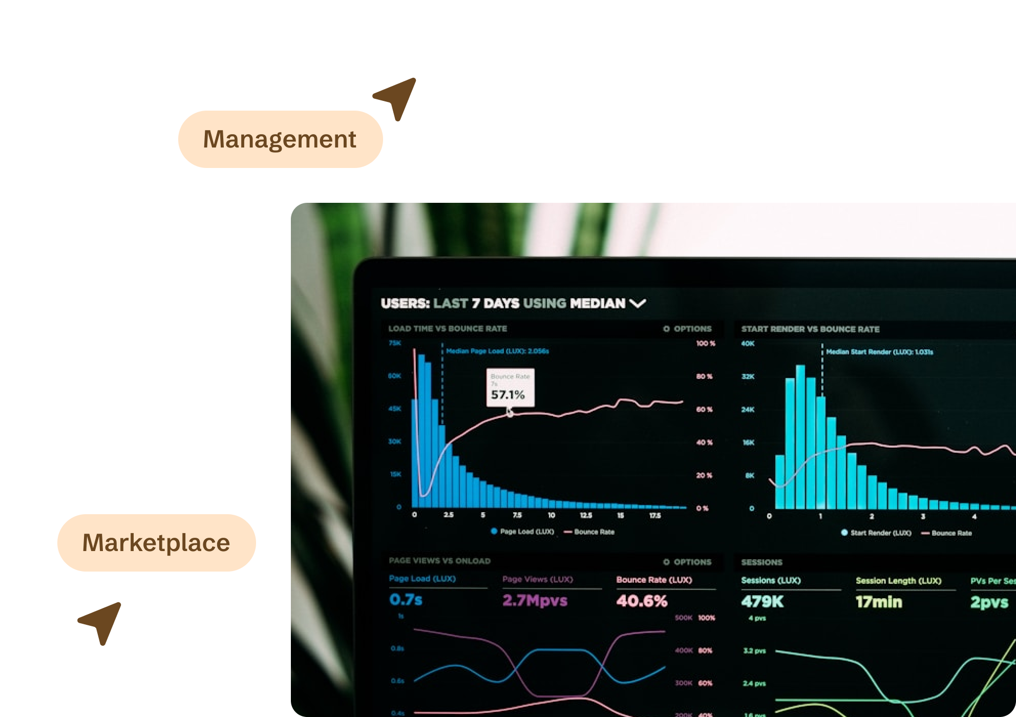 Marketplace Setup & Management