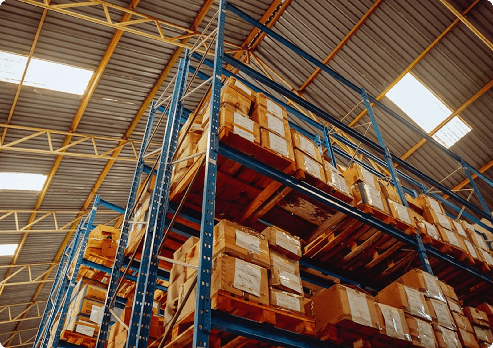 Amazon Sales Turnaround for BuzzJewelry